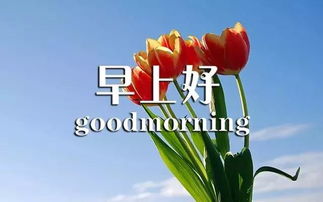 早上好