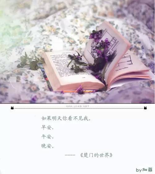 丈夫的爱语