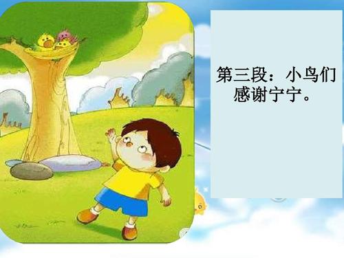 爱鸟的口号