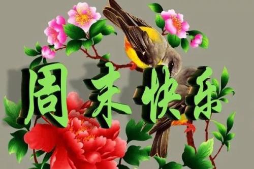 描述快乐周末的句子
