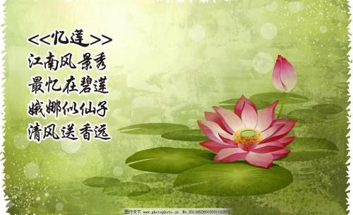 描述赞美莲花的诗句