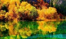 描写秋天景色的词语