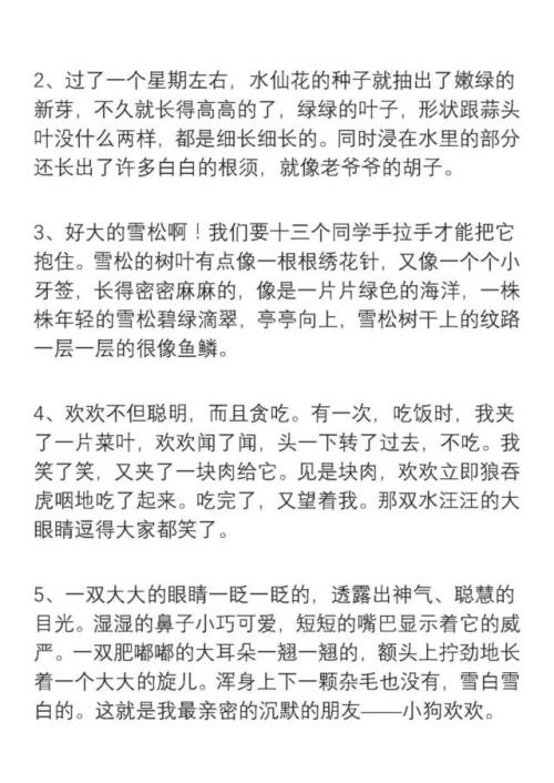六年级的好单词和句子