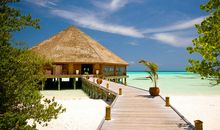 找一个开心的句子 形容开心的句子