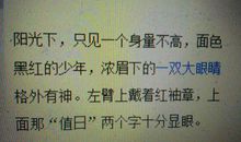 人物外貌的语句