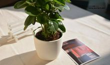 工作与开心有关的句子 工作心情开心的句子