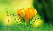 早上问候短信大全