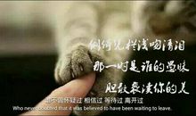 描写长久爱情的诗句