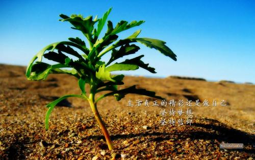 最美丽的励志名言