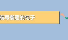 描写榴莲的优美句子