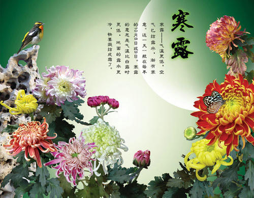 描述露珠的句子