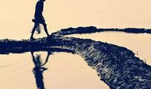 关于迷失自己的句子