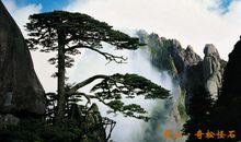 描写黄山的句子