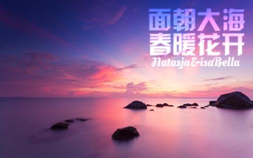关于大海的励志声明