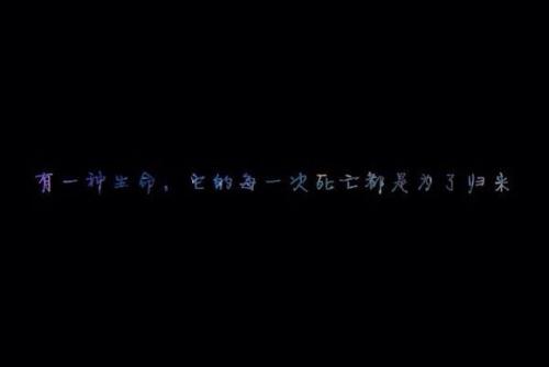 龙族中的经典句子
