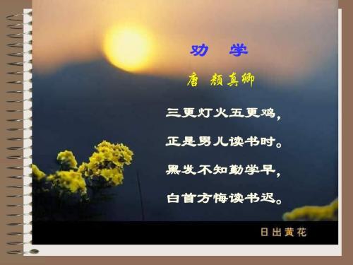 鼓励诗歌