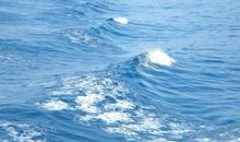 关于大海的优美语句