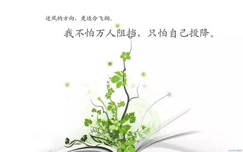 乐观的审美句子