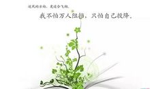 乐观的唯美句子