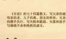 目送龙应台经典语录