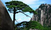 描写黄山美景的句子