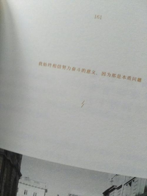 陆思豪经典句子