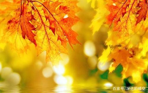 感动的快乐句子