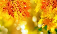 感人幸福的句子