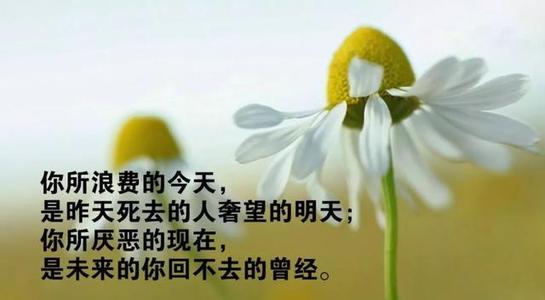 每天一种正能量