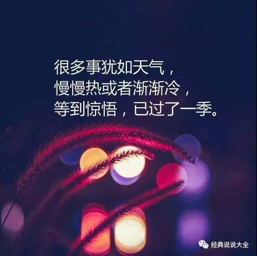 爱的句子