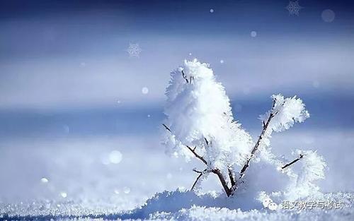 描写雪花的诗句
