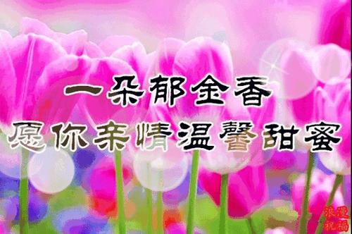 2017 3.8妇女节短信