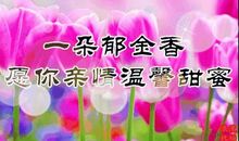 17年3.8妇女节短信