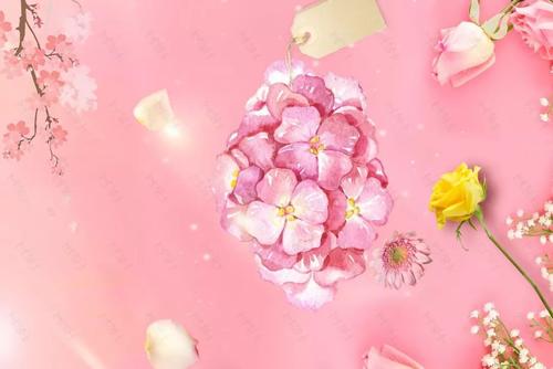 3.8妇女节的愿望