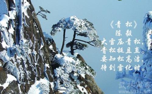 青松诗