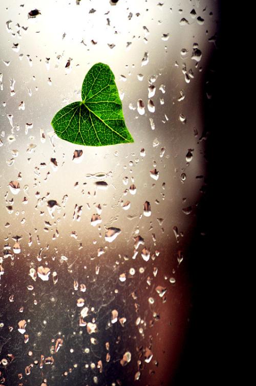 多雨的心情句子