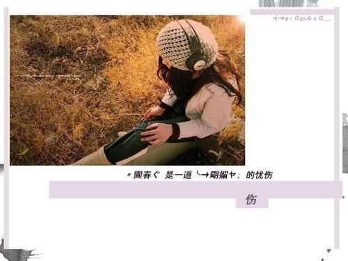 沉宝峰的经典句子