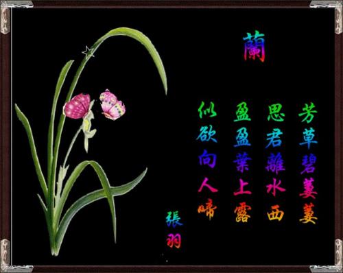 祝福诗句