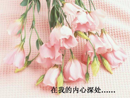 美好的愿望