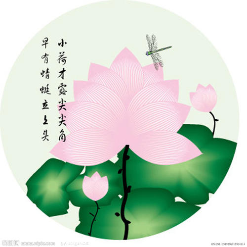 莲花经