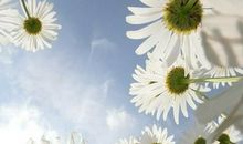 让人醒悟的哲理句子