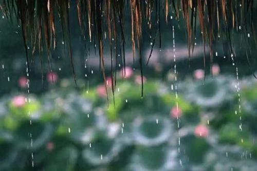 描写风雨的诗