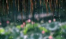 描写风雨的诗句