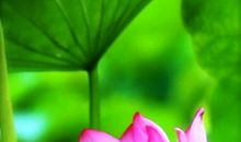 形容突然醒悟的句子