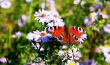 让自己醒悟的句子