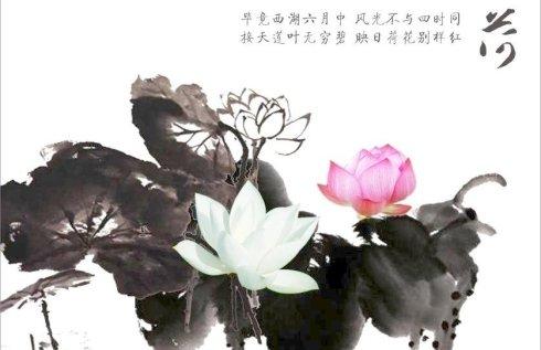 一段描述莲花的美丽诗句