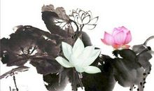 描写荷花的优美诗句