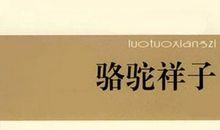 骆驼祥子优美句子