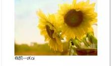 形容生活美好的诗句