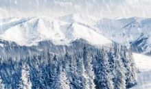 描写冬天的经典语句